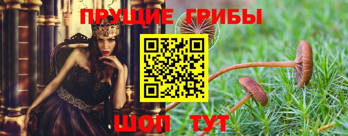 Псилоцибиновые грибы мухоморы  Вход с VPN  Королёв 